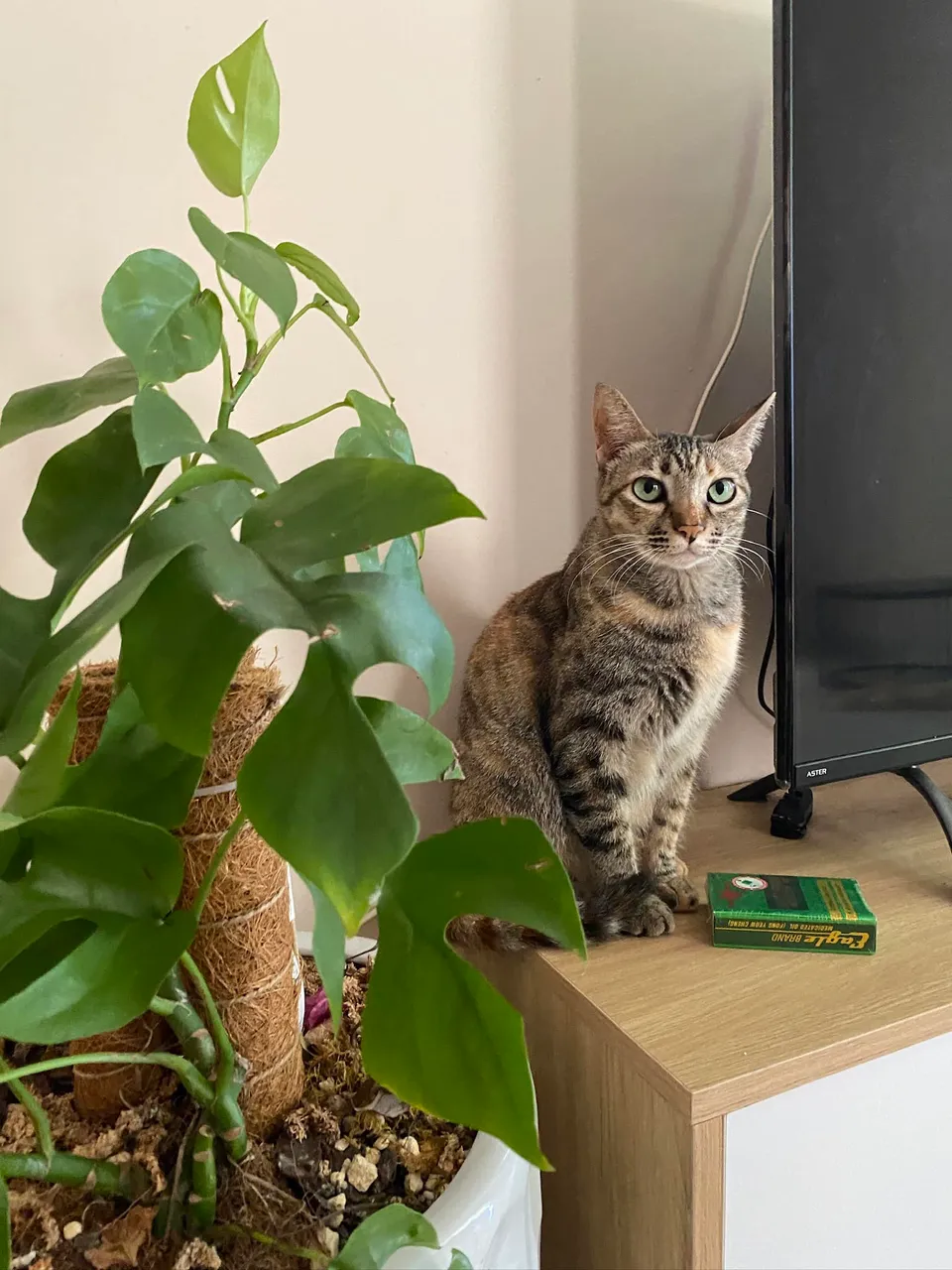 Người con gái đã ở bên hắn ròng rã 5 năm trời