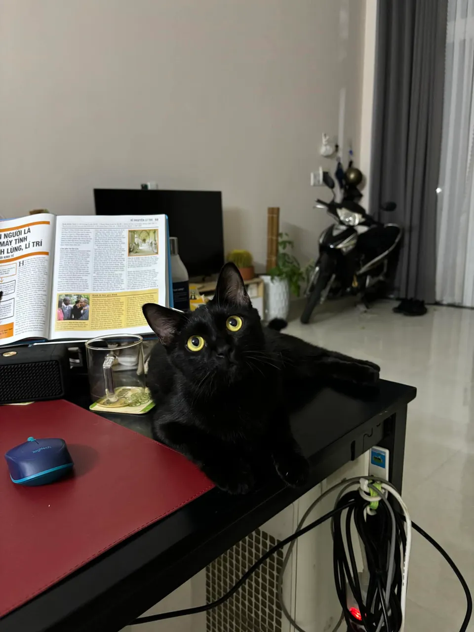 Hắn lại ngứa nghề